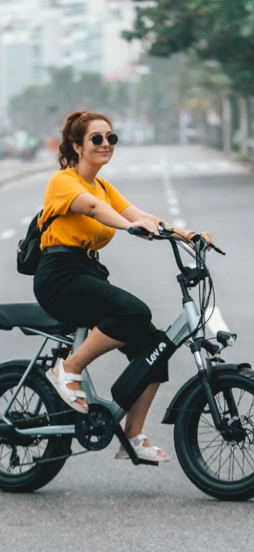 Lev gallery image 13