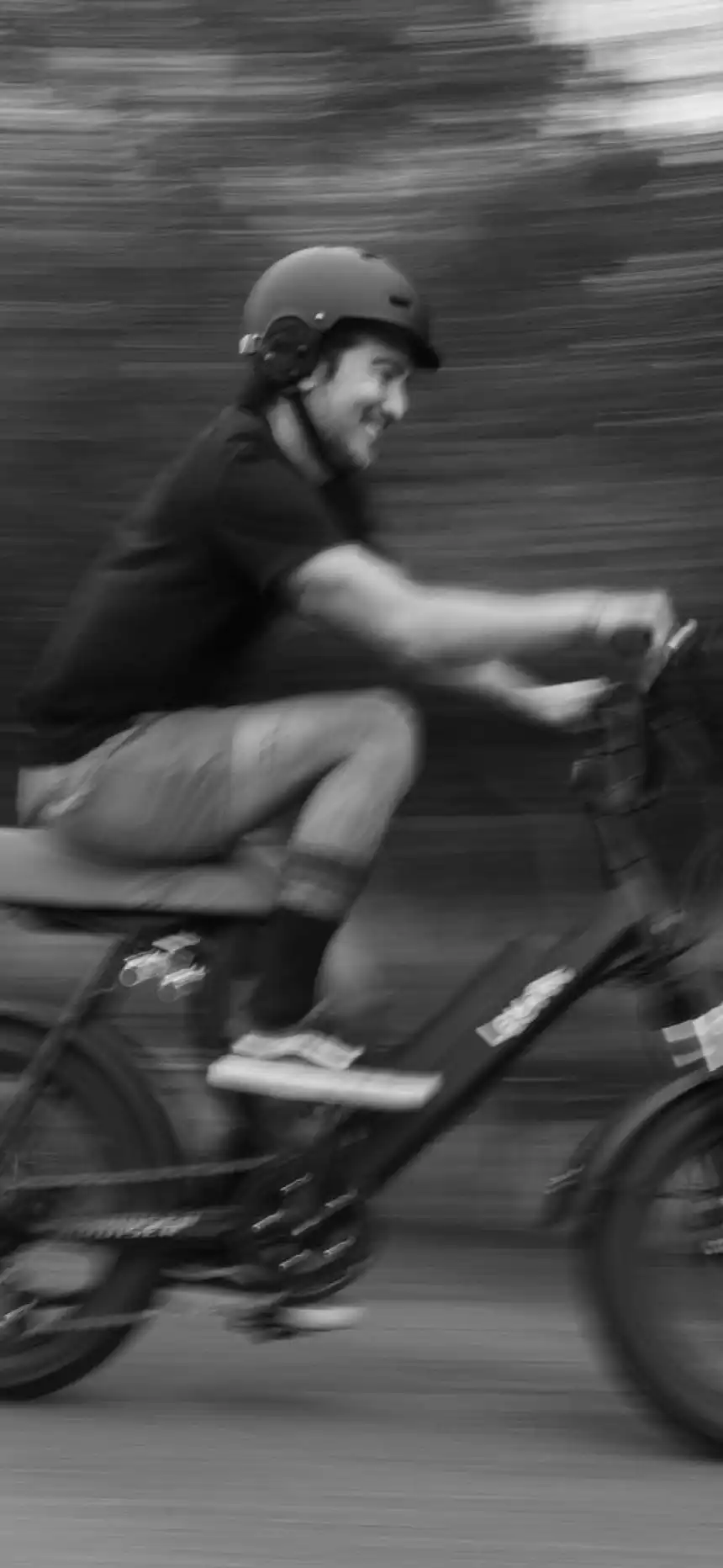 Lev gallery image 17