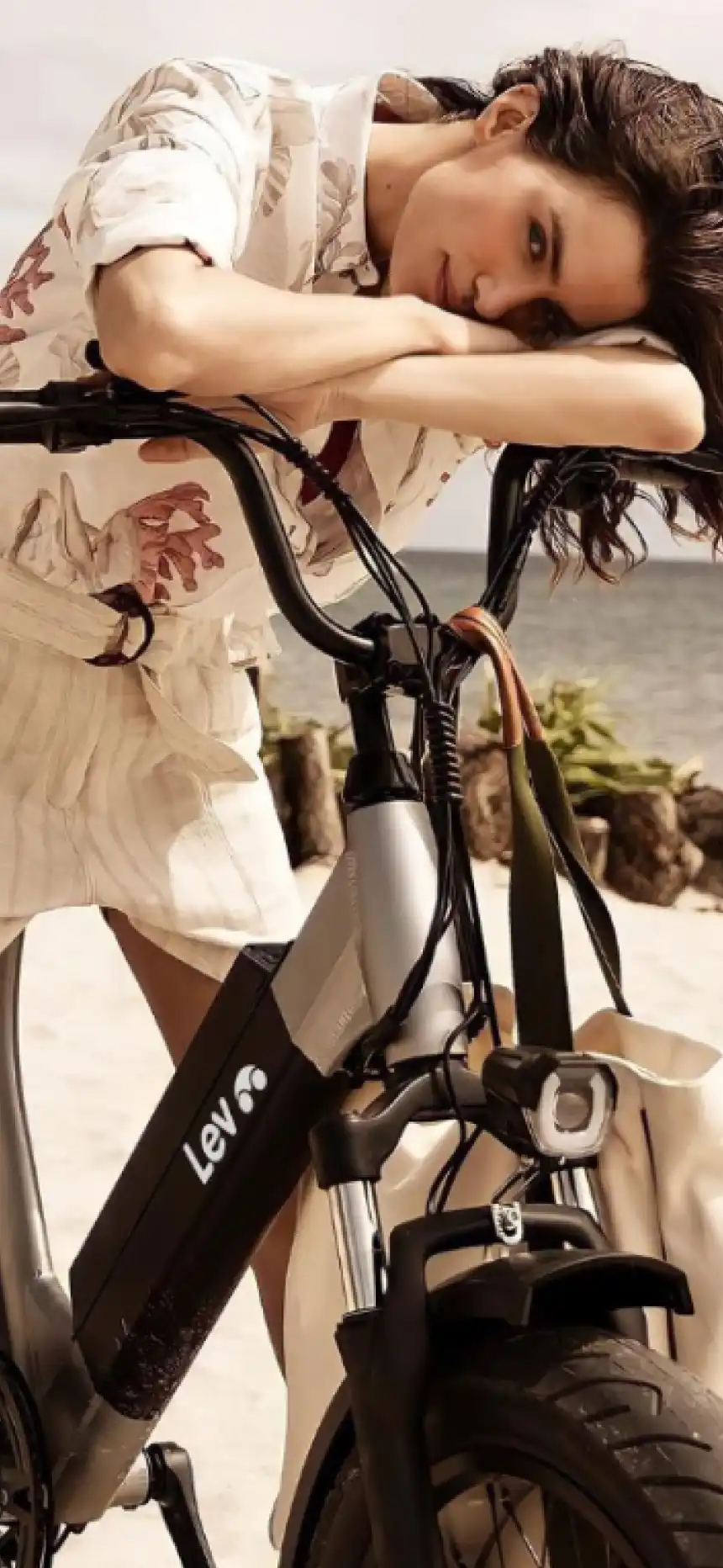 Lev gallery image 18